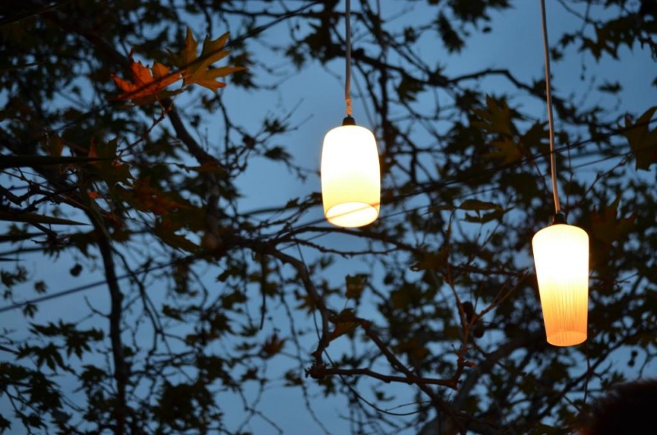 ΠΛΑΤΑΝΟΣ (15)