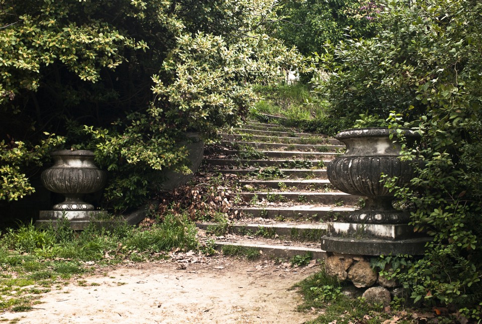 Tatoi / Τατόι