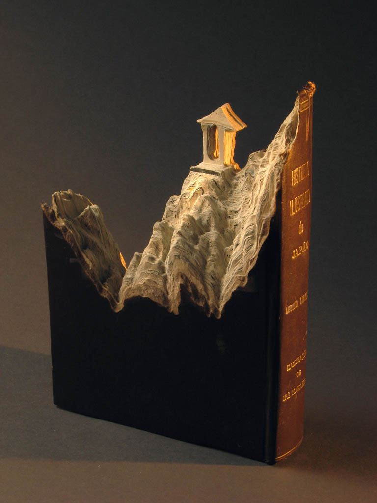 landscapes-carved-into-books-guy-laramee-11