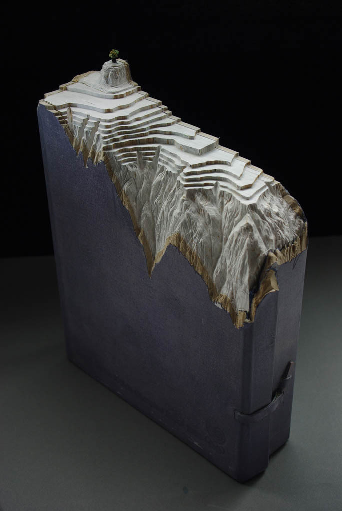 landscapes-carved-into-books-guy-laramee-14