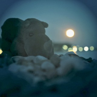 8 φωτογραφίες με τον μικρό ρινόκερο / ή / η σύντομη ιστορία μου με τον μικρό ρινόκερο