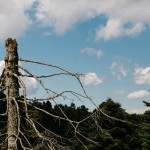 Πέρασε το νομοσχέδιο του υπουργείου Περιβάλλοντος