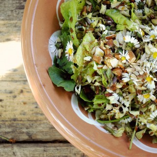 Τα λουλούδια ως βάλσαμο