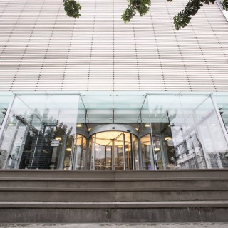 Όλα ήταν ήρεμα στη Στέγη. Μέχρι που ήρθε το Six d.o.g.s!