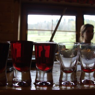 Μια φορά ήταν 6 Κροάτες, 6 Σλοβένοι, 6 Λιθουανοί και 6 Έλληνες στην Πολωνία