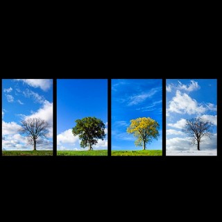 Ποια είναι η αγαπημένη σας εποχή;