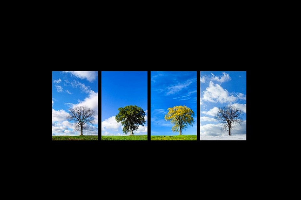 four-seasons