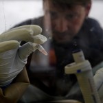 Εκατό εκατ. δολάρια στη μάχη κατά του Έμπολα από την Παγκόσμια Τράπεζα