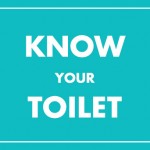 19/11/2001, γιορτάζεται για πρώτη φορά η Παγκόσμια Ημέρα Τουαλέτας