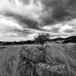 Τα δωρεάν της ημέρας