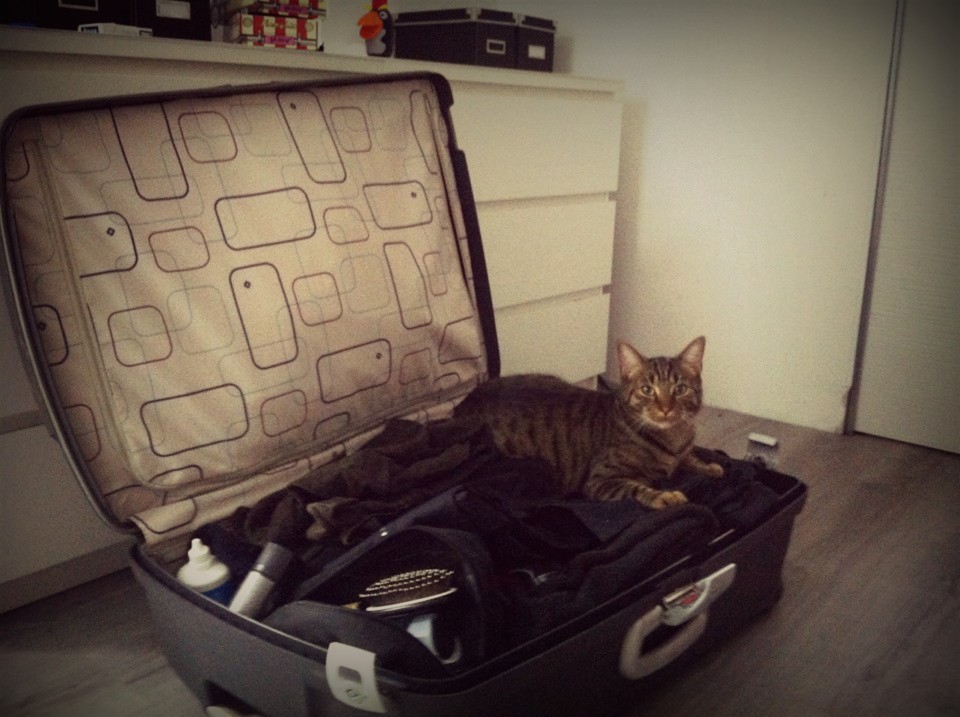 Η βαλίτσα του Στάμου (χρεώματα)