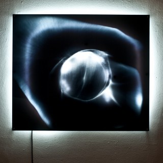 Tο σεξ σε ακτινογραφία