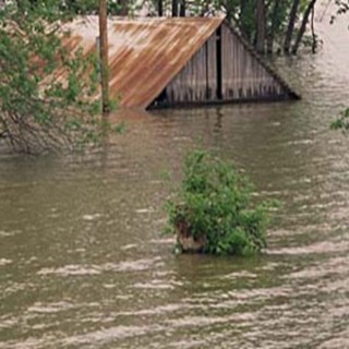 Επιχείρηση για τον εντοπισμό αγρότη στο Κιλκίς