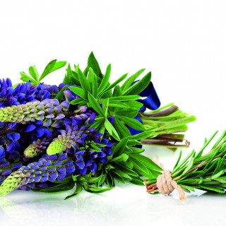 Τριχόπτωση; Υπάρχει λύση, αποτελεσματική και απόλυτα φυσική από την APIVITA