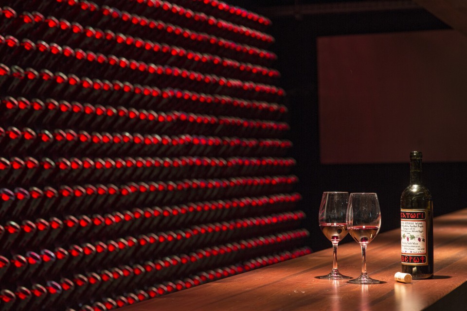 drz-grandforest-metsovo-0206