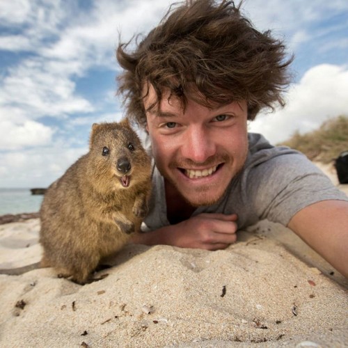 O Allan Dixon βγάζει τις πιο χαριτωμένες selfies παρέα με ζώα απ’ όλο τον κόσμο