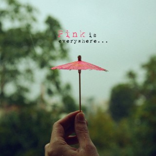 Τι είναι ροζ, δεν είναι φλαμίνγκο και κυκλοφορεί στην πόλη;