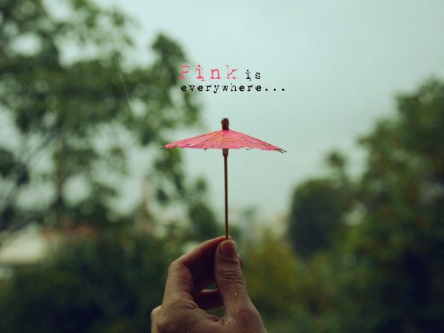 Τι είναι ροζ, δεν είναι φλαμίνγκο και κυκλοφορεί στην πόλη;