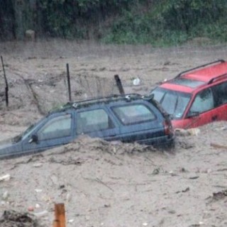 Όγδοη ημέρα επιφυλακής στον Έβρο