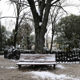 Έντονες χιονοπτώσεις την Πέμπτη και την Παρασκευή [ΒΙΝΤΕΟ]