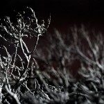 «Ποδαρικό» με διαδοχικά κύματα κακοκαιρίας θα κάνει το 2019