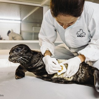 Η Ανδριάνα ανυπομονεί να κολυμπήσει στο Αιγαίο