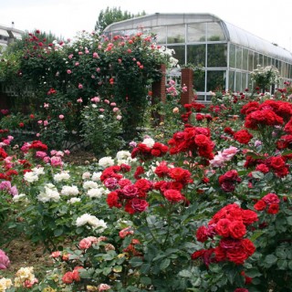 Ο «άγνωστος» Βοτανικός Κήπος της Θεσσαλονίκης