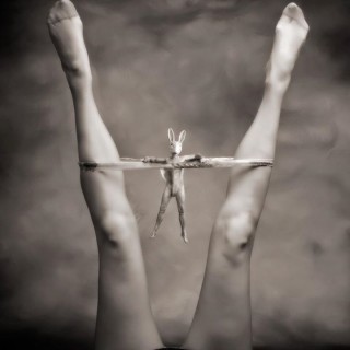 Years of the Rabbits