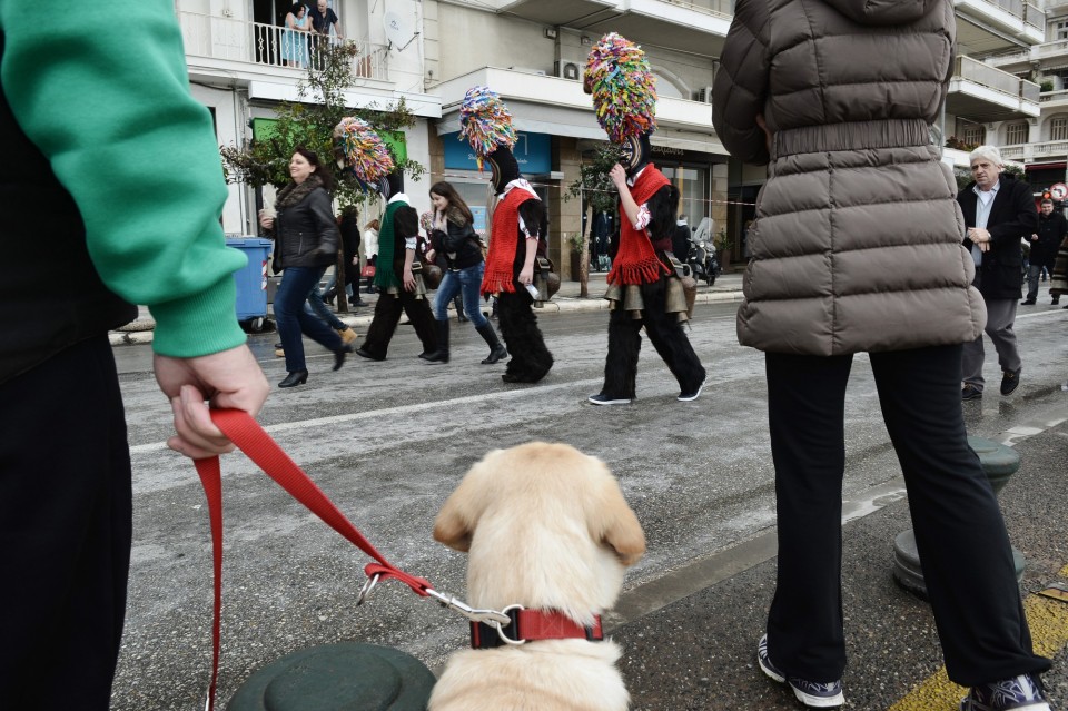 ΚΩΔΩΝΟΦΟΡΟΙ ΚΩΔΩΝΟΦΟΡΟΣ ΘΕΣΣΑΛΟΝΙΚΗ ΠΑΡΕΛΑΣΗ ΒΟΡΕΙΑ ΕΛΛΑΔΑ ΒΑΛΚΑΝΙΑ ΠΑΡΑΔΟΣΗ