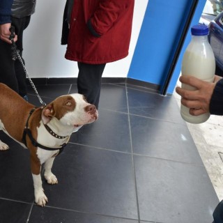 Άνοιξε το πρώτο ΑΤΜ ανάληψης φρέσκου γάλακτος στην Αθήνα