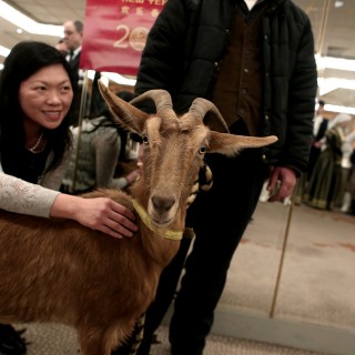 Τι δουλειά έχει μια ζωντανή κατσίκα μέσα στο Caravel;