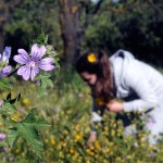 Πρώτη μέρα της Άνοιξης σήμερα