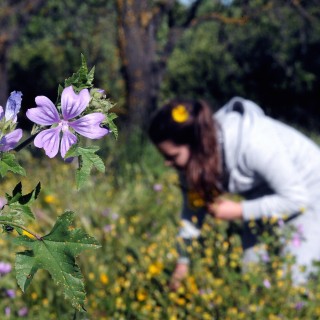 Ένα mix για την Άνοιξη από τον Ζώη Χαλκιόπουλο
