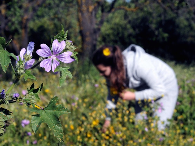 Ένα mix για την Άνοιξη από τον Ζώη Χαλκιόπουλο