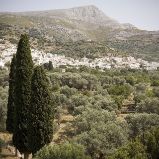 Επιβιώσας στην επαρχία