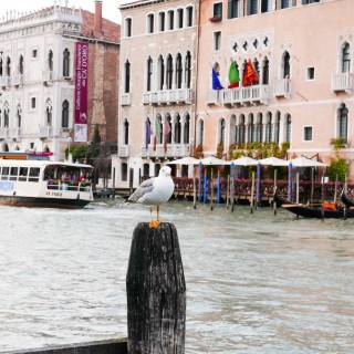 Ιταλία: Φαίνεται πως θα την γλιτώσει η Βενετία