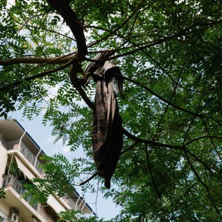 Τι να φταίει άραγε;