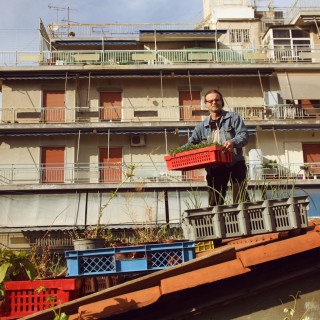 Το πιο σπουδαίο φυτώριο του κέντρου βρίσκεται σε αυτή την ταράτσα στα Πετράλωνα 