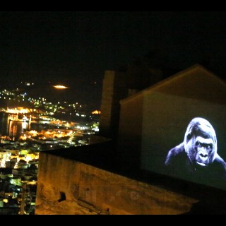 To διεθνές φεστιβάλ κινηματογράφου επιστρέφει για τρίτη φορά στη Σύρο