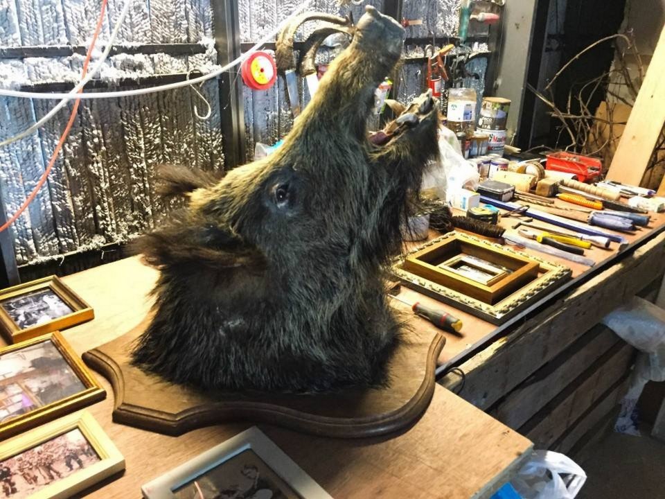 Λεπτομέρεια από το ελληνικό περίπτερο. φωτ. Φώτης Βαλλάτος