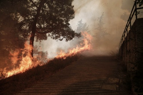 Θάσος: Φωτιά ξέσπασε σε δασική έκταση στην περιοχή των Κοινύρων