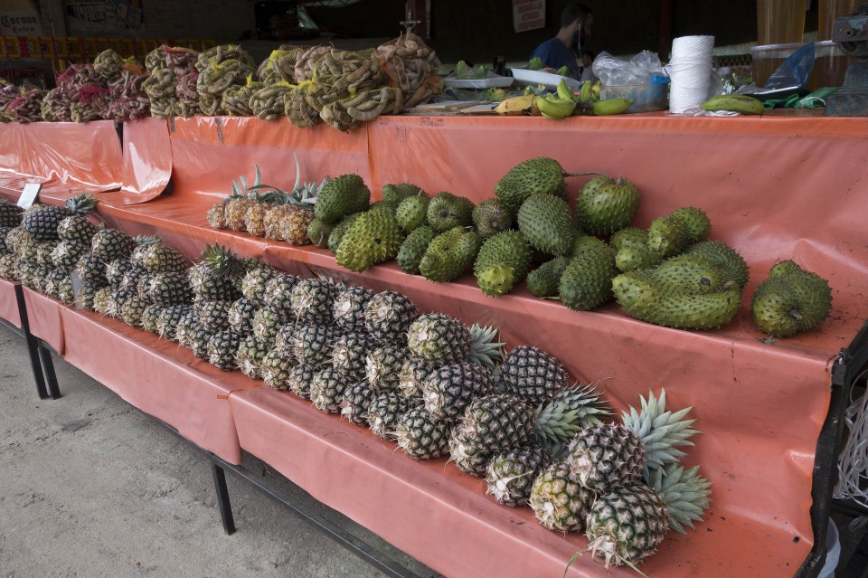 Πάγκος με φρούτα στο Μεξικό. 
