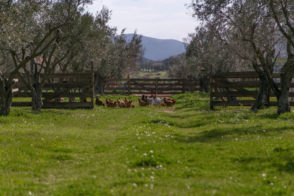 Η φάρμα που προμηθεύει με εξαιρετικές πρώτες ύλες το Malabar