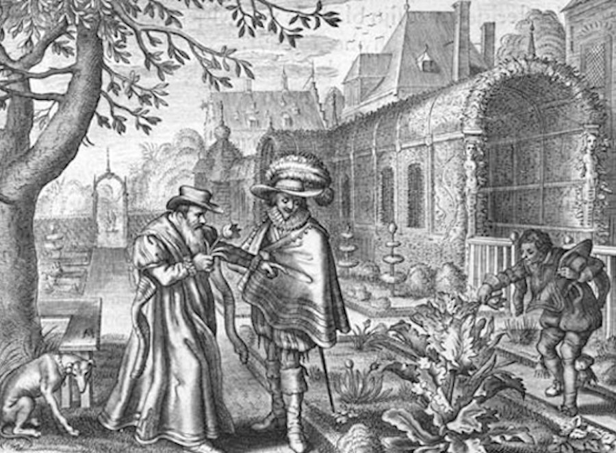 Το εμπόριο τουλίπας, παρά τους όποιους κρατικούς περιορισμούς, έγινε η «εθνική» εμμονή των Ολλανδών. Η εποχή που με έναν βολβό τουλίπας αγόραζες ολόκληρες περιουσίες έμεινε στην ιστορία ως Tulipmania. Επρόκειτο για την πρώτη φούσκα στην ιστορία του καπιταλισμού.