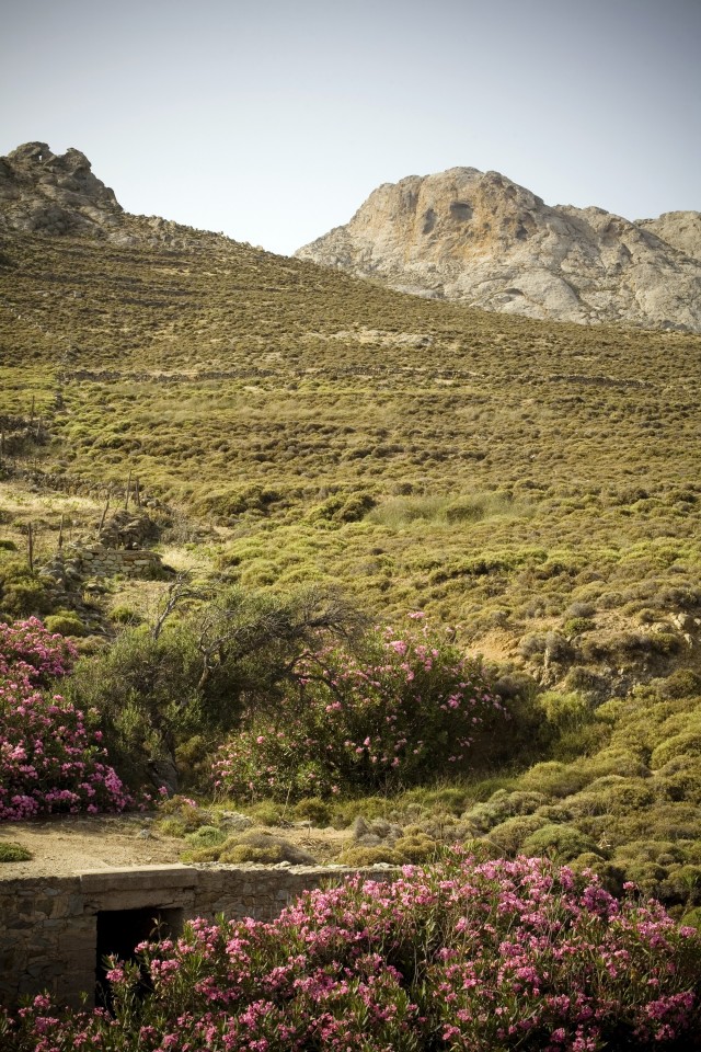 Ορεινή Νάξος. 