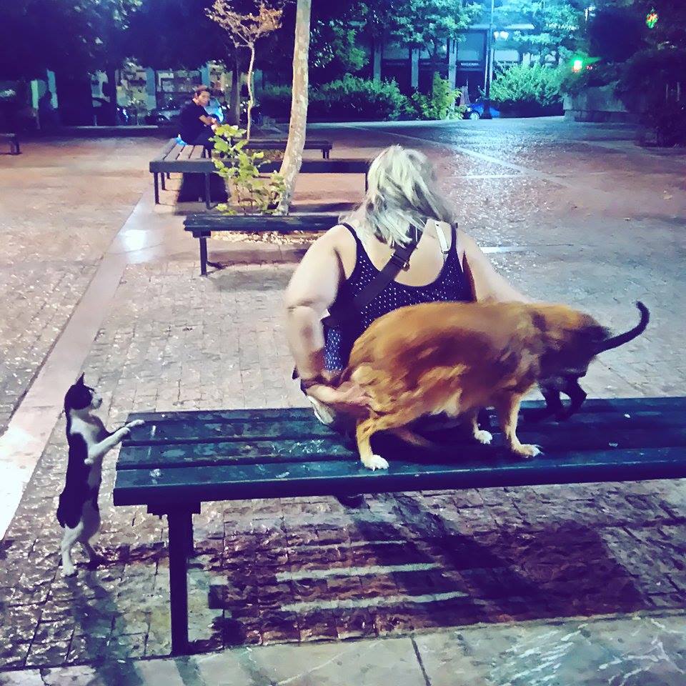 Είμαστε όλοι αδέσποτοι μωρό μου. 