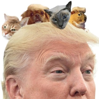 Τι συμβαίνει στο κεφάλι του Ντόναλντ Τραμπ;