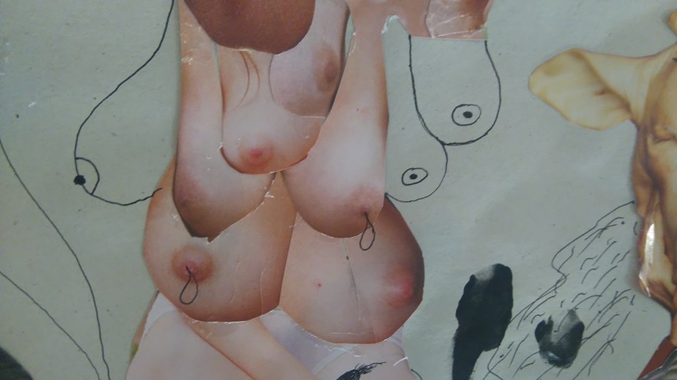 Λεπτομέρεια από κολάζ στην έκθεση του Asthenia.