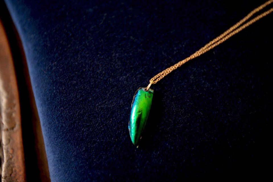 Παντατίφ από φτερό σκαθαριού. 