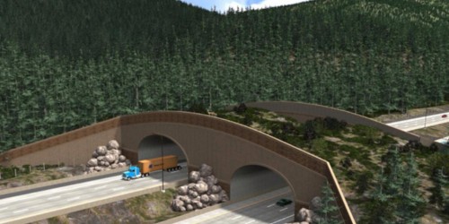 Ειδική γέφυρα για τα άγρια ζώα σχεδιάζει η Καλιφόρνια